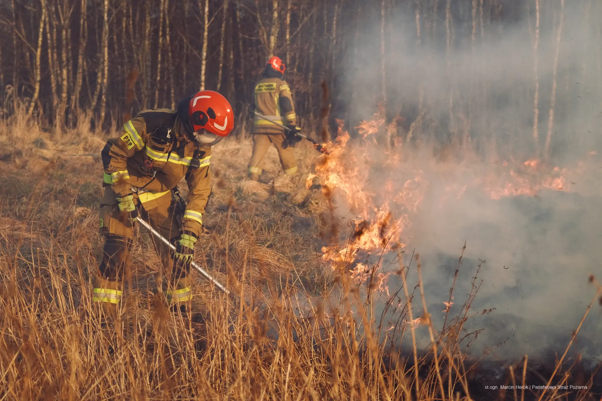 Firefighter crew working a live fire scene in full protective equipment